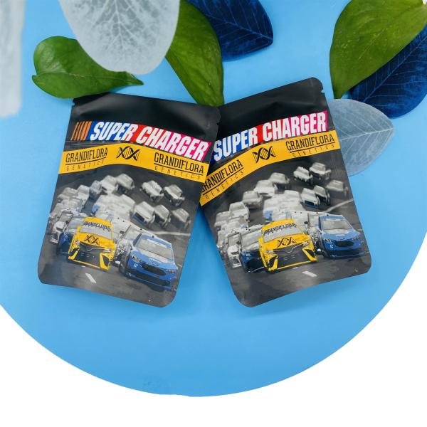 7g 14g 1oz 1lb Laminated Mylar Zipper Bag Mini Grandiflora Smell Proof