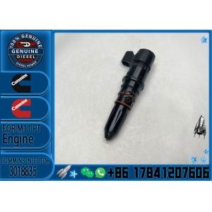 Construction Machinery PartsFuel Injector ForM11 PTDiesel4914328 3018835PXFor