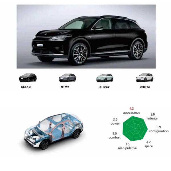 Customized Long Range 5 Seats Leapmotor C11 Panoramic Skylight High Configuration EV SUV