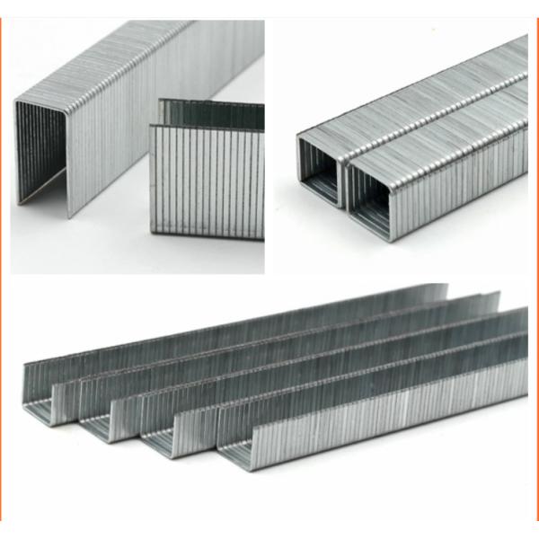 Staples 80 Staple 80 Series Staple 21Gauge Galvanized Nails Fine Wire Staples Sofa 80 Staple Pin 800