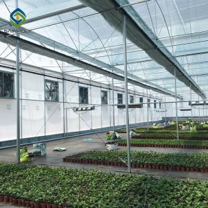 China Large Double Arch 4.5m Agriculture plastic Film Greenhouse Intelligent on sale