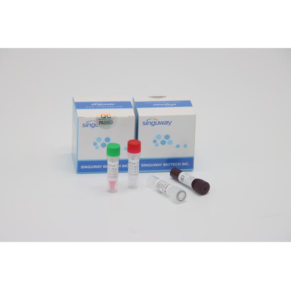 Buy Fast RT PCR Test Kit Quantitative Fluorescent For HFMD Virus Testing at wholesale prices