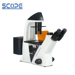 Buy cheap Laboratory Inverted Fluorescence Microscope Long Work Distance Objective from wholesalers