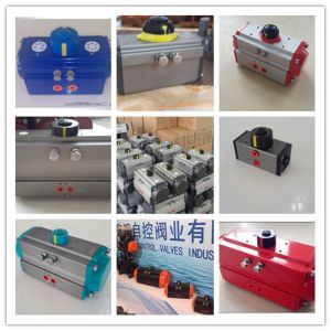 double acting pneumatic actuator