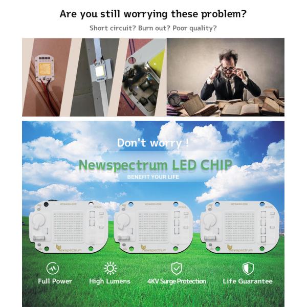 6500K 20W Chip LED COB Nature Cold Blue Red For Landscape Lighting