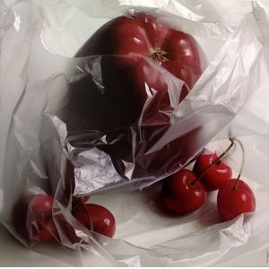 Customed Fresh-keeping Bag for Household Food Grade Vest Type Refrigerator in