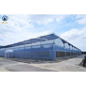 Commercial Multi Span Plastic Agricultural Greenhouse With Polyethylene Cover