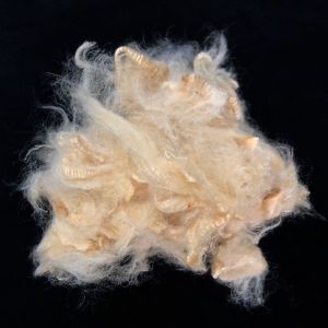 1.5D 2D Natural Protein Soybean Fiber UV Protection Antibacterial
