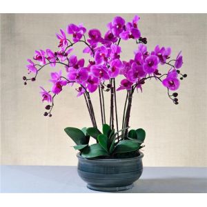 Hot Sell Potted PU Orchids