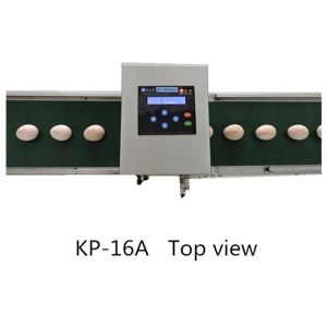 Clearly Writing Intelligent Egg Jet Printer With Unique Nozzle Alignment Feature