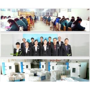 Shijiazhuang Wanlixin Industrial and Trade Co., Ltd