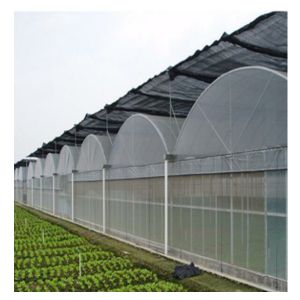 Anti Drip Plastic Film Greenhouse Light Transmission 80%-90%