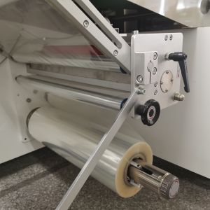 600mm Fresh Vegetable Packaging Machine