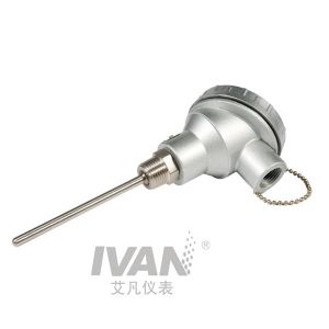 Customized Support OEM High Temperature Armored WZP Temperature Sensor for