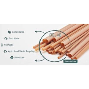 Wholesale Disposable Biodegradables Bagasse Drinking Straws For Party