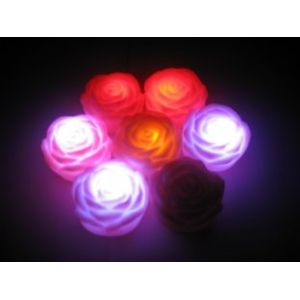 Quality lighting flowers for sale