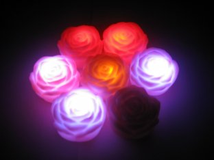 lighting flowers