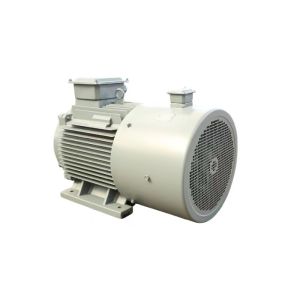 F Class 50HP Electric High Efficiency Permanent Magnet Motor