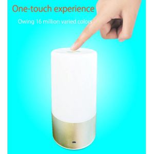 USB Chargeable bluetooth control portable smart led light