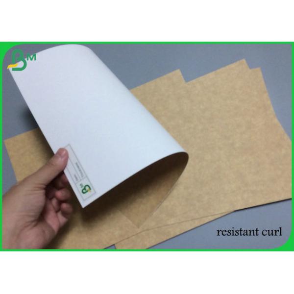 High Resistance Freezing White Back Kraft Paper 325g 365g Of 31inch 35inch