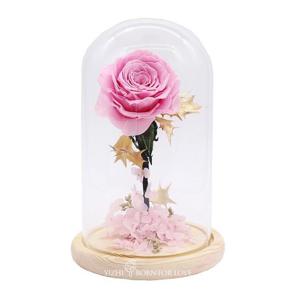 Buy Home Decor Colorful Preserved Rose In A Glass Dome 7cm-8cm at wholesale prices