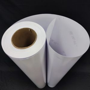 External Self Adhesive Permanent Vinyl Material Matte Glossy