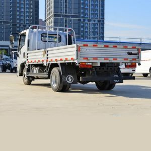 Shacman 4*2 Standard Truck Commercial Truck Fence Truck