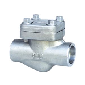 Threaded and undertake welding check valve