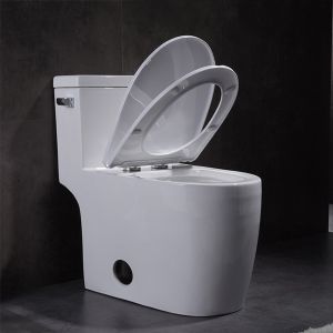 Csa Certification Siphonic One Piece Toilet Round Bowl Flushing Side Holes