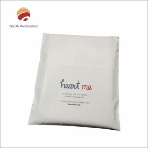 Scratching Resistance Custom POLY Mailing Bag ISO/SGS/FDA Approval