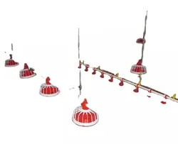 Raising Chicken Feeding Line Steel PP Poultry Pan Feeding System