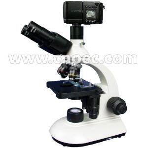 WF10x 100X Elementary Biological Microscope Research , Rohs CE A11.2601