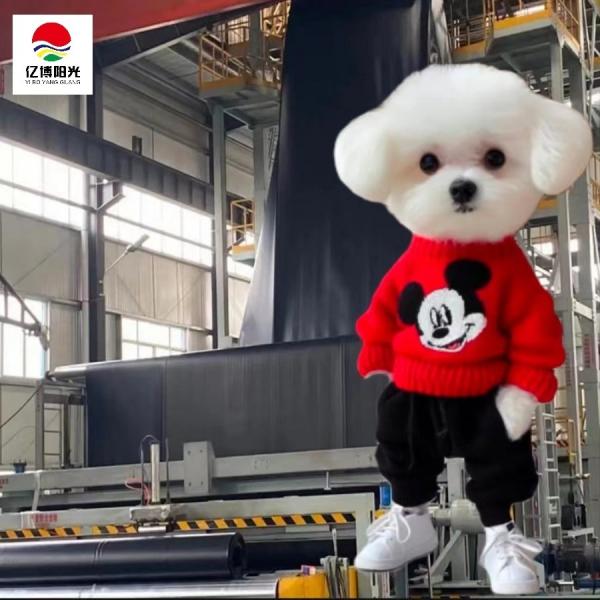 Waterproof Projects 0.5mm 3.0mm HDPE Geomembrane Liners with 100% Virgin