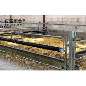 Grade Steel H Beams Used in Prefabricated Cow/Cattle/Sheep/Chicken Farm Building