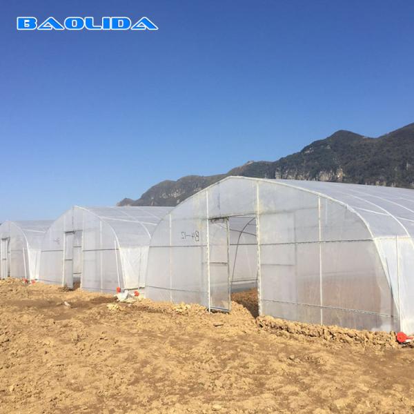 Buy Simplest Structure Hot Dip Galvanized Steel 4m Tunnel Plastic Greenhouse For Plants Growing at wholesale prices