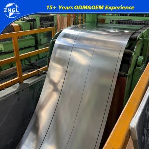 Request Sample for 300 Series Grade Stainless Steel Strip 304 201 316L Coil