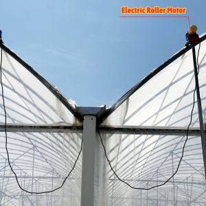 Baolida Custom Automatic System Greenhouse Tropical Hydroponic System Multi-span