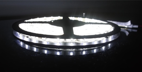 Buy SMD3528 60LEDs/m strip at wholesale prices