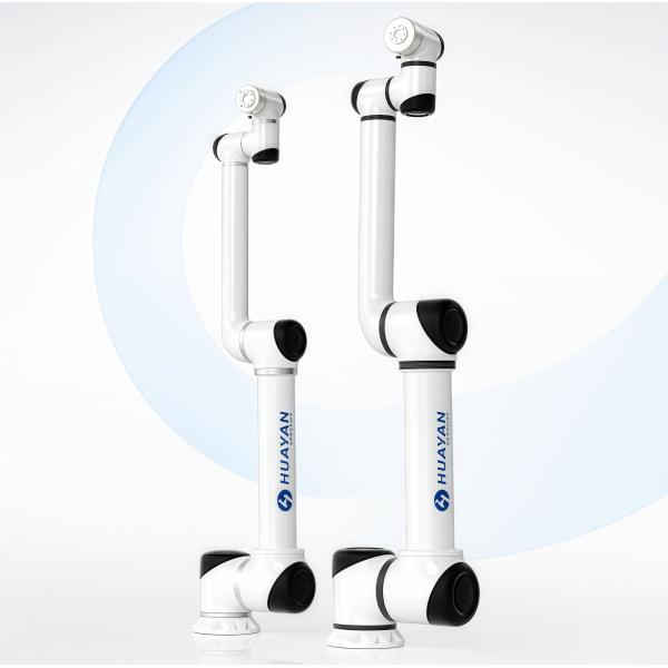 China Huayan S20 Automated Collaborative Robotic Arm Food Factory Palletizing