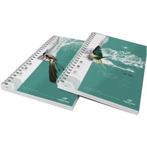 OEM Brochure Printing Services , Leaflet / Air Flyer Printing Services