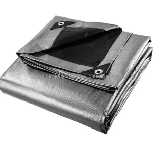 Coated PE Tarpaulin for Sunlight Blocking and Rainproof Covering 3x4m 4x5m 4x6m