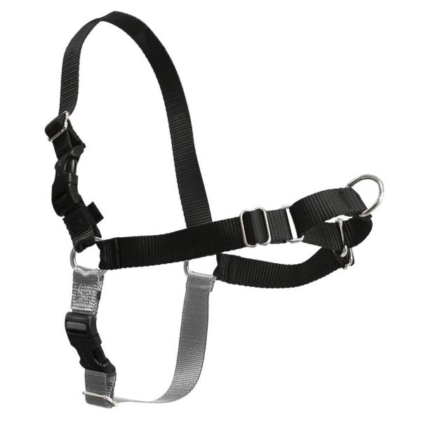 Buy Perfect Fit Nylon Dog Harness , Anti Pull Dog Harness Comfortable To Wear at wholesale prices