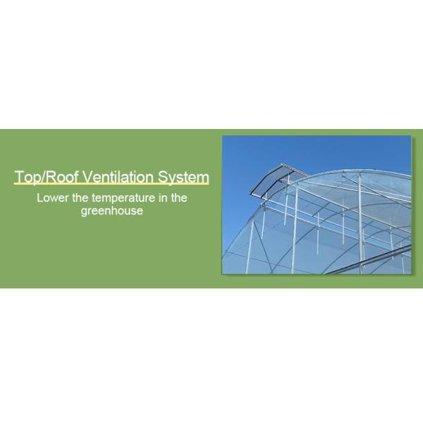 Plastic Film Tunnel Greenhouse Kit Width 6m 8m 9m For Growing Vegetables Flowers Fruits