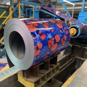 Galvanized Prepainted Printed Coils Combining Aesthetics Protective Performance