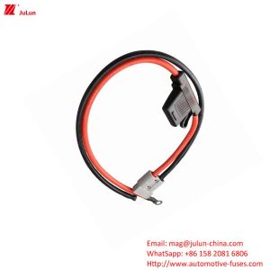 Eu UL standard new energy vehicle fuse holder manual reset current is 30A-100A