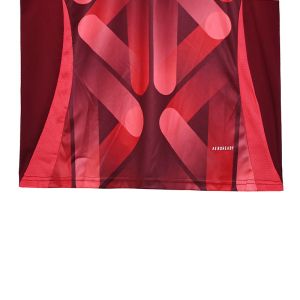 2025-2026 Germany Fan Edition Away Jersey Group Customization