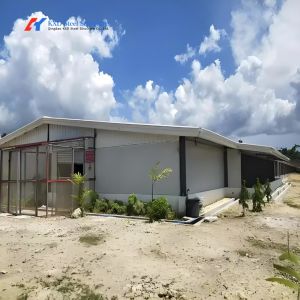 Galvanized Steel Piggery Shed Construction Steel Structure Chicken Shed