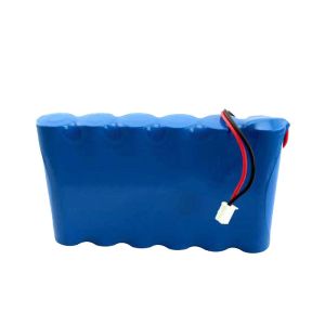 18650 48Wh 2000mAh 24V Lithium Ion Battery Pack