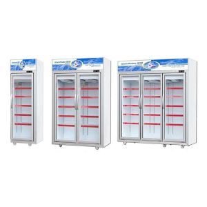 -18~-25℃ Glass Door Upright Display Freezer With Wheels Low Noise
