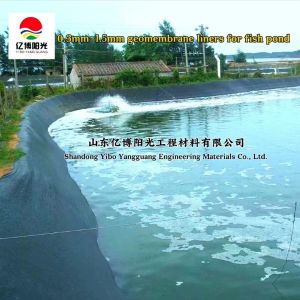 100% Virgin HDPE 0.2-2.0mm Geomembrane for Fish Pond Liners and Aquaculture
